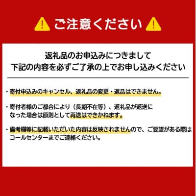 北海道産豚丼の具12食セット