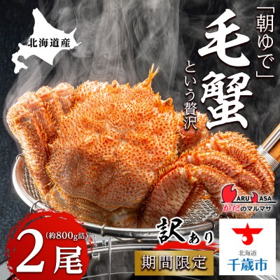 北海道産【朝ゆで】訳あり毛ガニ 800g詰 期間限定!≪かにのマルマサ≫