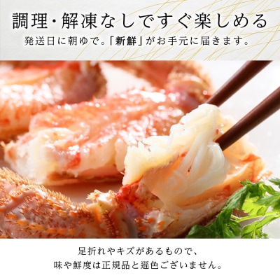 北海道産【朝ゆで】訳あり毛ガニ 800g詰 期間限定!≪かにのマルマサ≫