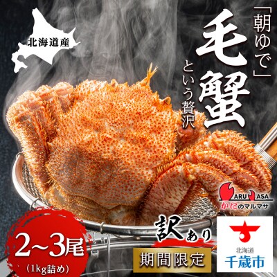 北海道産【朝ゆで】訳あり毛ガニ 1.0kg詰 期間限定!≪かにのマルマサ≫
