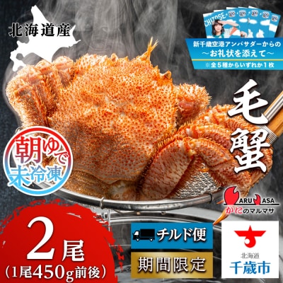 【千歳市開港100年記念　10月22日入金分まで】～お礼状を添えて～朝ゆで毛ガニ(450g前後)2尾