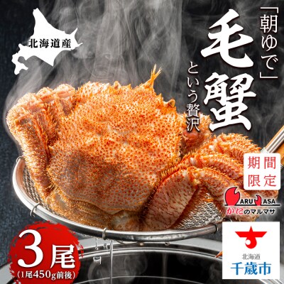 北海道産【朝ゆで】毛ガニ(450g前後)3尾 期間限定!≪かにのマルマサ≫