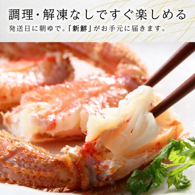 北海道産【朝ゆで】毛ガニ(450g前後)3尾 期間限定!≪かにのマルマサ≫
