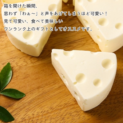 【北海道直送!】絵本から飛び出してきたようなチーズケーキ(15cm×2ホール)