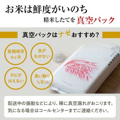 北海道産ななつぼし 10kg(通常パック5kg×1袋、真空パック5kg×1袋) 