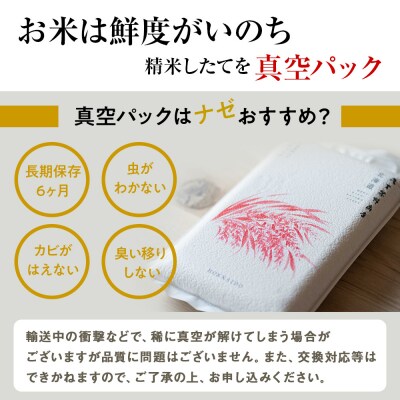 北海道産ななつぼし 10kg(通常パック5kg×1袋、真空パック5kg×1袋) 