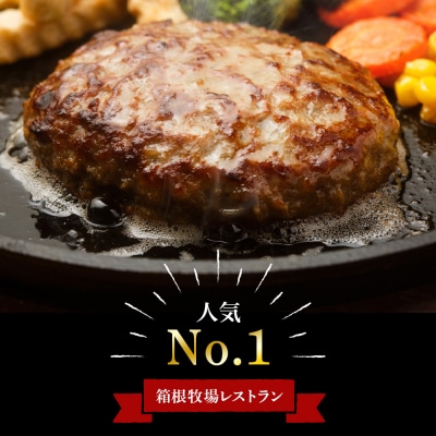 牧場手作り★オリジナルハンバーグセット〈箱根牧場〉