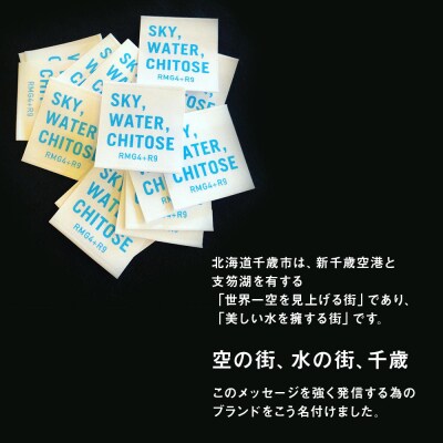 【定期便 6カ月】千歳の珈琲 飲み比べセット 合計600g