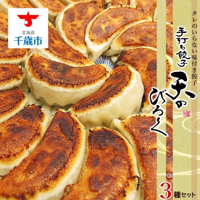 こだわりの手打ち餃子★天のびろく 3種セット＜手打ち餃子のびろく＞