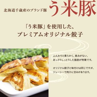 こだわりの手打ち餃子★天のびろく 3種セット<手打ち餃子のびろく>