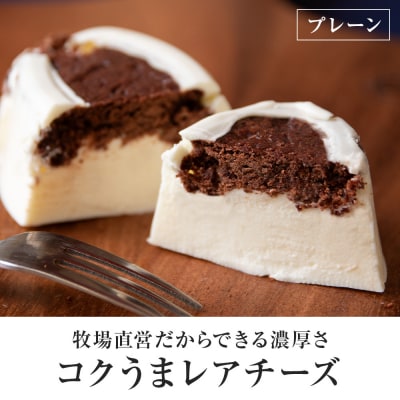 ミルキーベルの牧場チーズケーキ3種　計13個