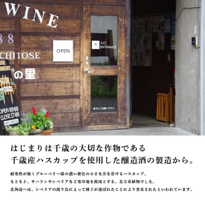 千歳ワイナリー ハスカップスイート720ml×3本＜ギフト箱入＞