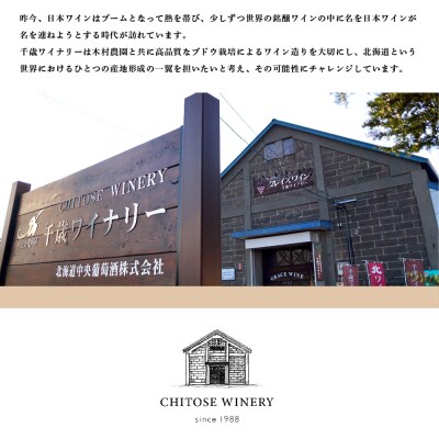 千歳ワイナリー ハスカップスイート360ml×12本