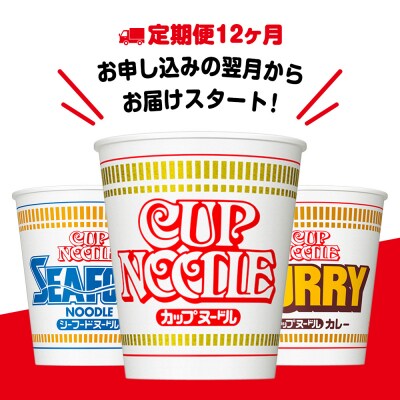 【定期便12か月】日清ヌードル3種セット 各1箱(20食)合計3箱