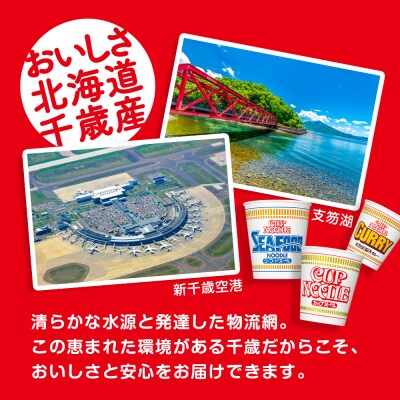 【定期便12か月】日清ヌードル3種セット 各1箱(20食)合計3箱