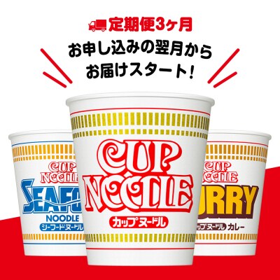 【定期便3か月】日清ヌードル3種セット 各1箱(20食)合計3箱