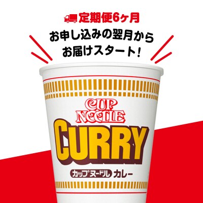 【定期便6か月】日清 カレーヌードル★1箱(20食入)
