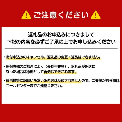 【定期便6か月】日清 カレーヌードル★1箱(20食入)