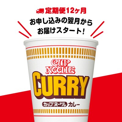【定期便12か月】日清 カレーヌードル★1箱(20食入)