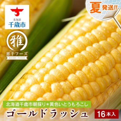 【2027年夏発送】 とうもろこし ゴールドラッシュ L～2L 16本