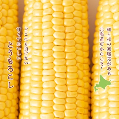 【2027年夏発送】 とうもろこし ゴールドラッシュ L～2L 16本
