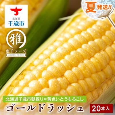 【2027年夏発送】 とうもろこし ゴールドラッシュ L～2L 20本