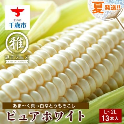 2025年夏発送 白いとうもろこし ピュアホワイト L～2L 13本
