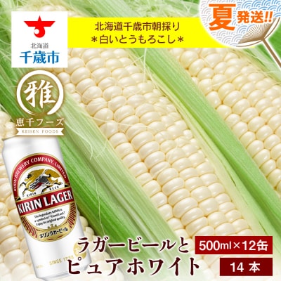 2025年夏発送 キリンラガービール 500ml 12缶&白いとうもろこしピュアホワイト14本