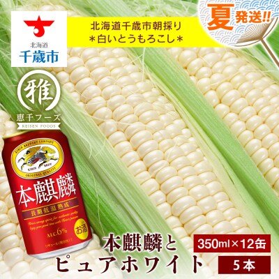 2025年夏発送 キリン本麒麟350ml 12缶&白いとうもろこしピュアホワイト5本