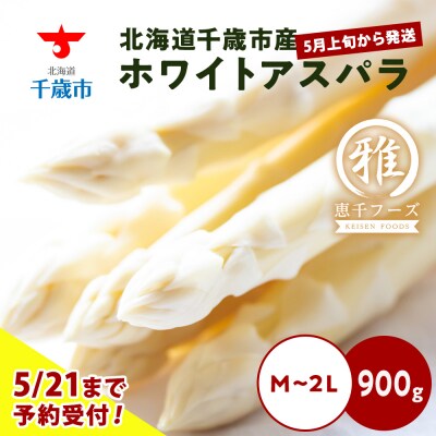 【2027年春発送】ホワイトアスパラ 900g M～2L