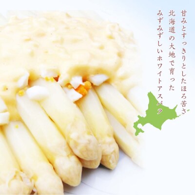 【2027年春発送】ホワイトアスパラ 900g M～2L