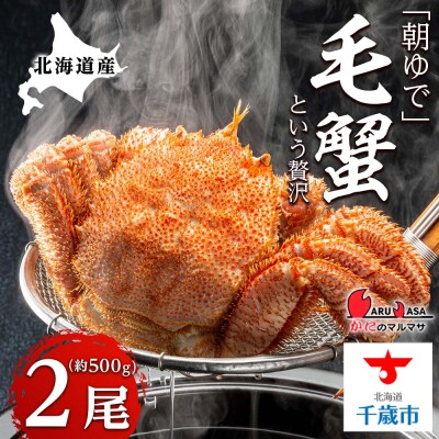 北海道産【朝ゆで】毛ガニ(500g前後)2尾 期間限定!＜かにのマルマサ＞