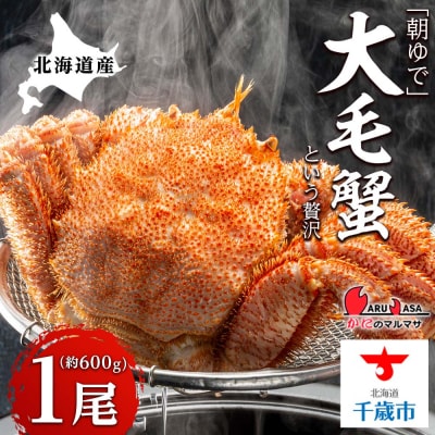 北海道産【朝ゆで】毛ガニ(600g前後)1尾 期間限定!<かにのマルマサ>