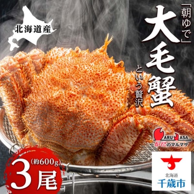 北海道産【朝ゆで】毛ガニ(600g前後)3尾 期間限定!<かにのマルマサ>