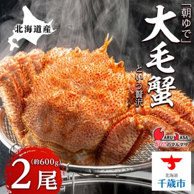 北海道産【朝ゆで】毛ガニ(600g前後)2尾 期間限定!<かにのマルマサ>