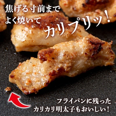 明太子入り 味付けホルモン 250g _10パック