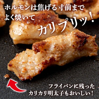 明太子入り 味付けジンギスカン ホルモン 各4パック 計8パック<肉の山本>