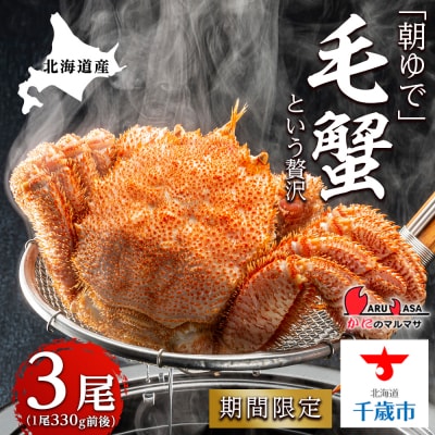 北海道産【朝ゆで】毛ガニ(330g前後)3尾 期間限定!≪かにのマルマサ≫