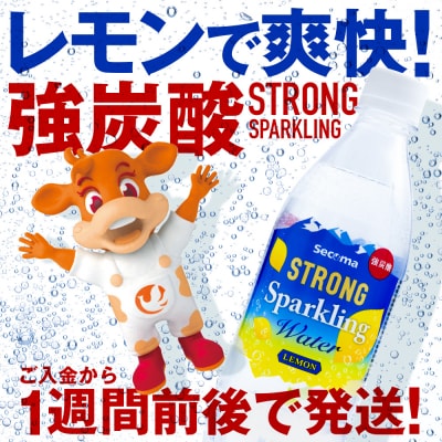 セコマ レモン 強炭酸水 500ml  24本  1ケース 北海道 千歳製造