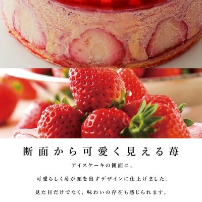 アイスケーキ フレジエ【ルタオ】【グラッシェル】