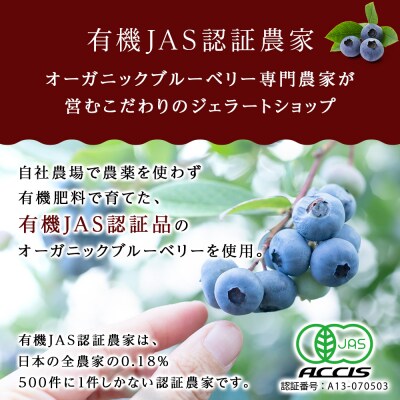 おすすめジェラート【6個セット】