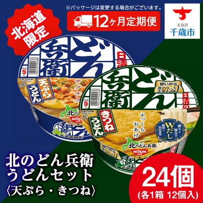 【定期便12カ月】日清 北のどん兵衛 うどんセット＜天ぷら・きつね＞各1箱・合計2箱