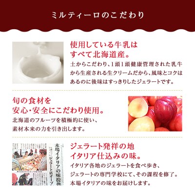 【定期便3ヶ月】おすすめジェラート【6個セット】