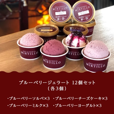 【定期便・隔月6回】ブルーベリージェラート【12個セット】