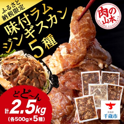 味付 ラムジンギスカン 5種 食べ比べ 2.5kg≪ 肉の山本 ≫ 千歳ラム工房 ラム肉 千歳
