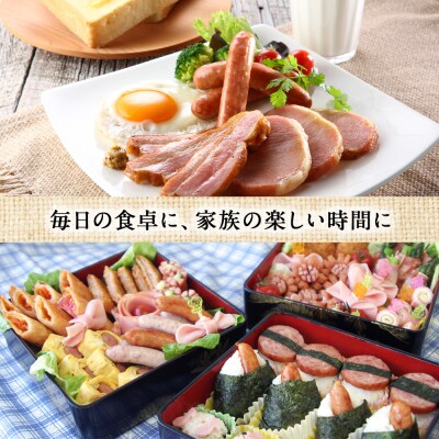 おつまみ 6種バラエティー セット 鶏肉 チキン ササミ レバー ハム ソーセージ ウインナー