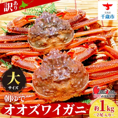 北海道産【 朝ゆで 】訳ありオオズワイガニ 1.0kg詰 道産品 ズワイガニ ずわい蟹 不揃い