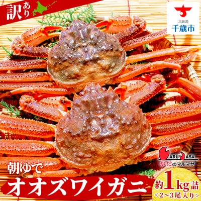 北海道産【 朝ゆで 】訳ありオオズワイガニ 1.0kg詰 道産品 ズワイガニ ずわい蟹 不揃い