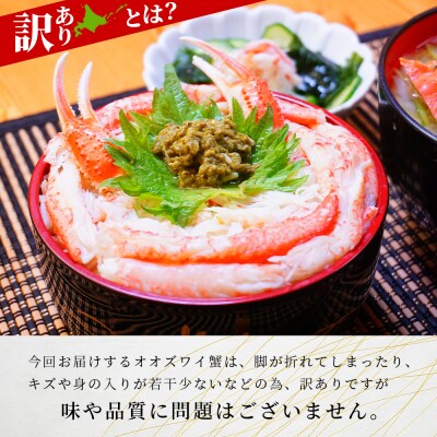北海道産【 朝ゆで 】訳ありオオズワイガニ 1.0kg詰 道産品 ズワイガニ ずわい蟹 不揃い