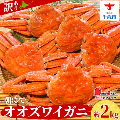 北海道産【 朝ゆで 】訳ありオオズワイガニ 2.0kg詰 道産品 ズワイガニ ずわい蟹 不揃い